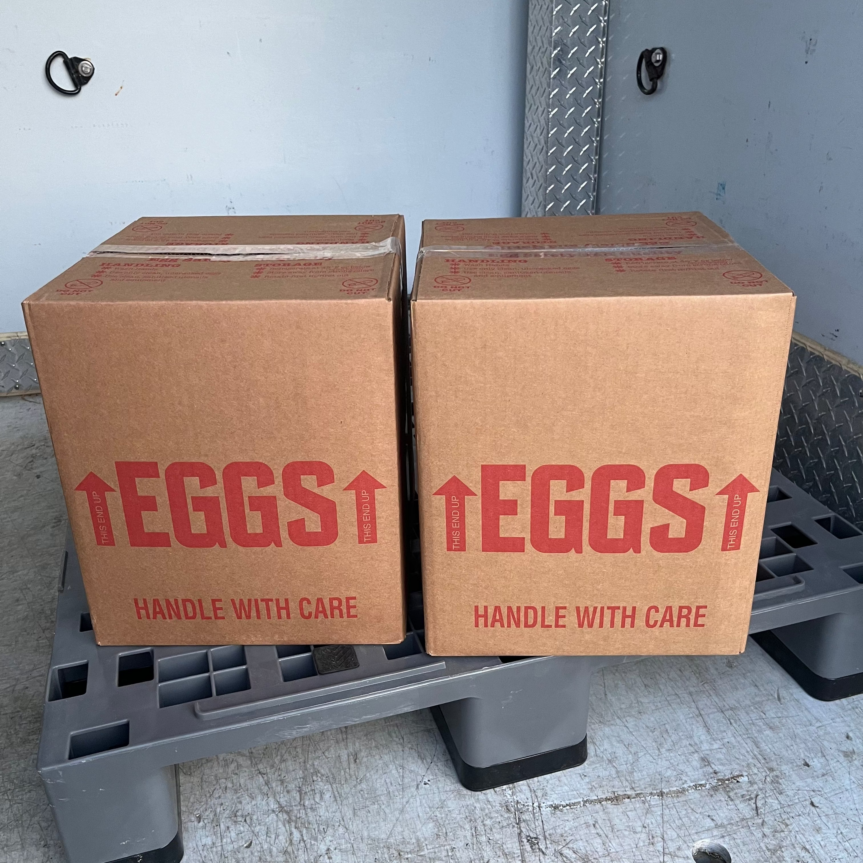 15 Dozen Free Range Pullet Eggs